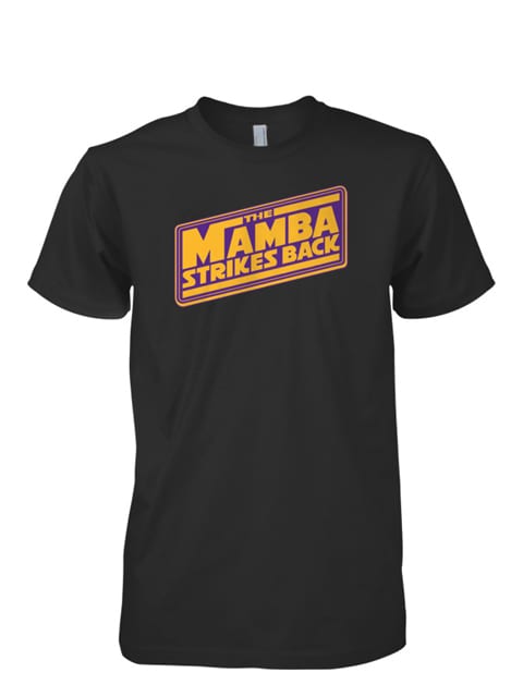 Mamba-strikes-back