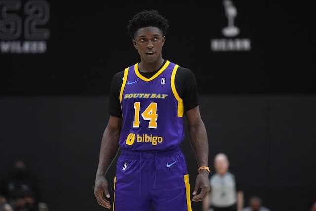 Stanley Johnson, Lakers, South Bay Lakers